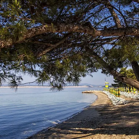 Vucko 2 アパート *